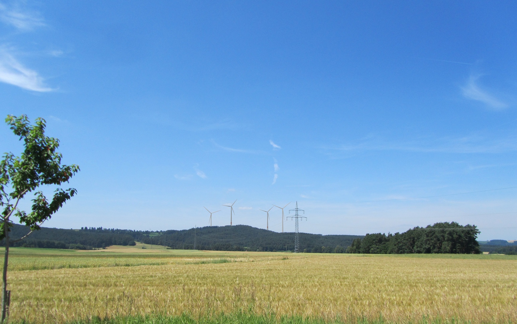 FP05_1.jpg